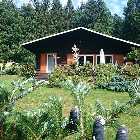 Chalet Harmonie Harzgerode Luaran gambar