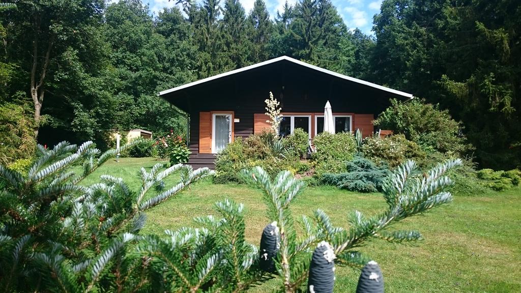 Chalet Harmonie Harzgerode Luaran gambar