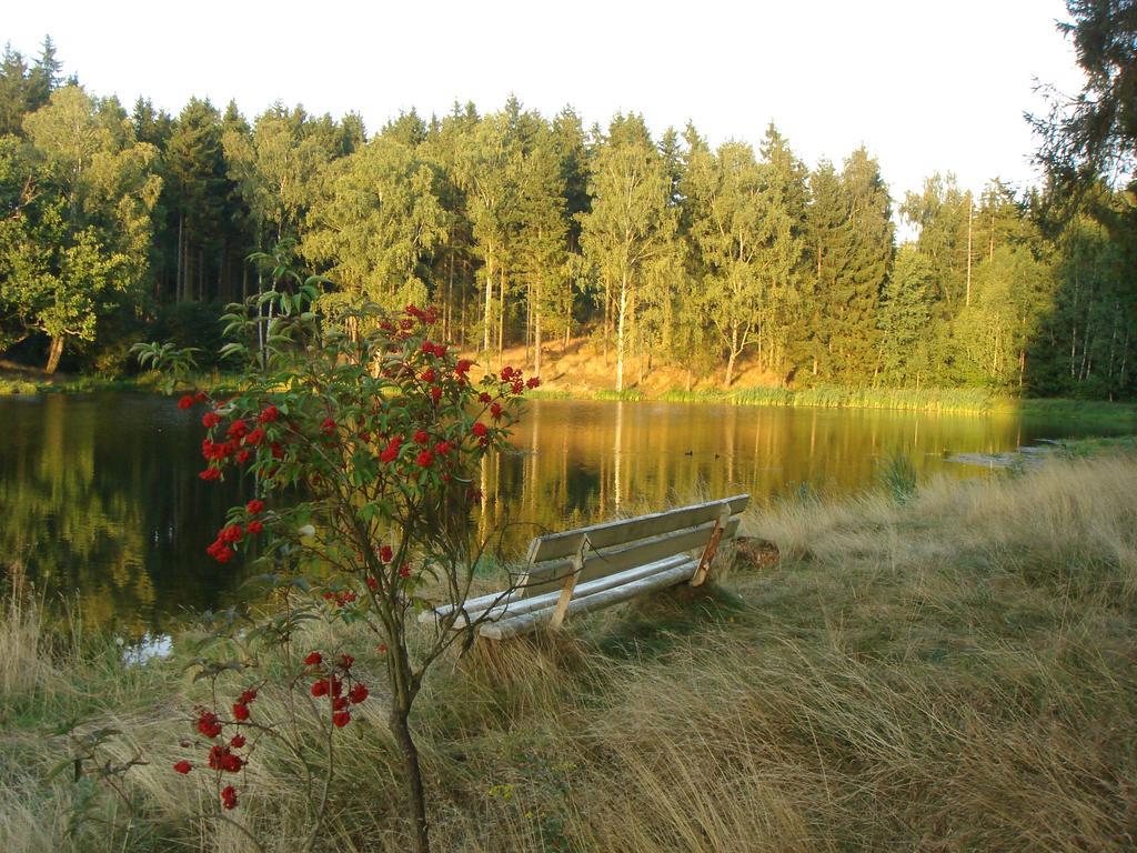 Chalet Harmonie Harzgerode Luaran gambar