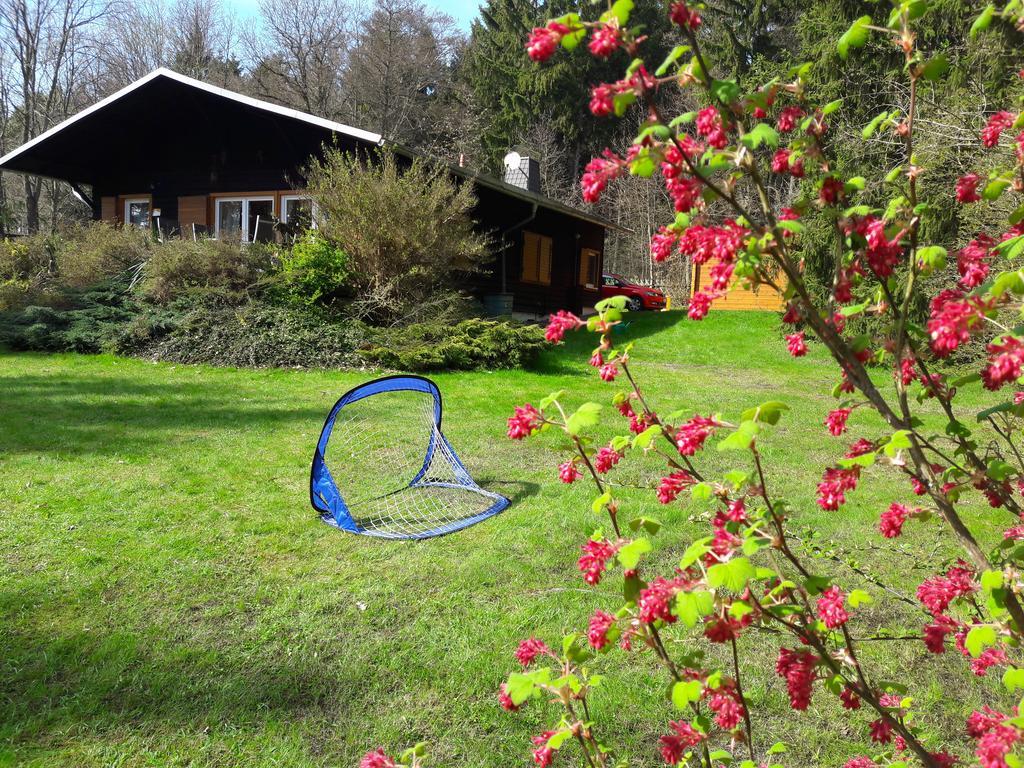 Chalet Harmonie Harzgerode Luaran gambar