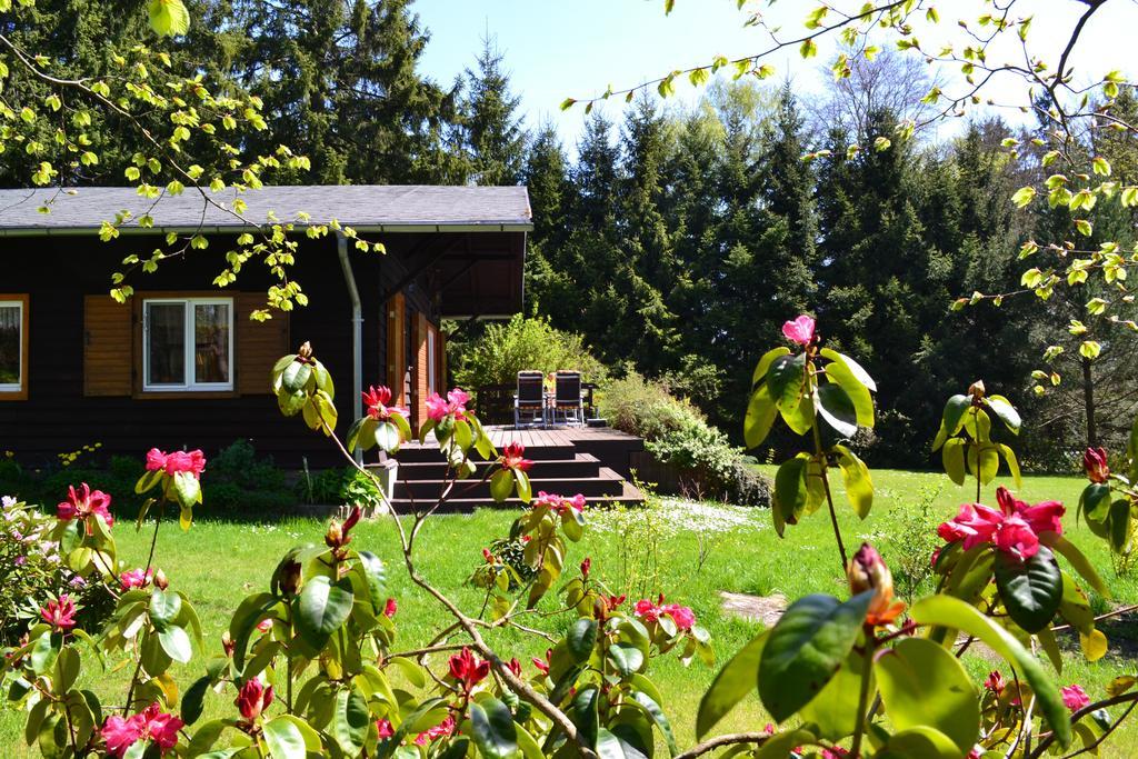 Chalet Harmonie Harzgerode Luaran gambar