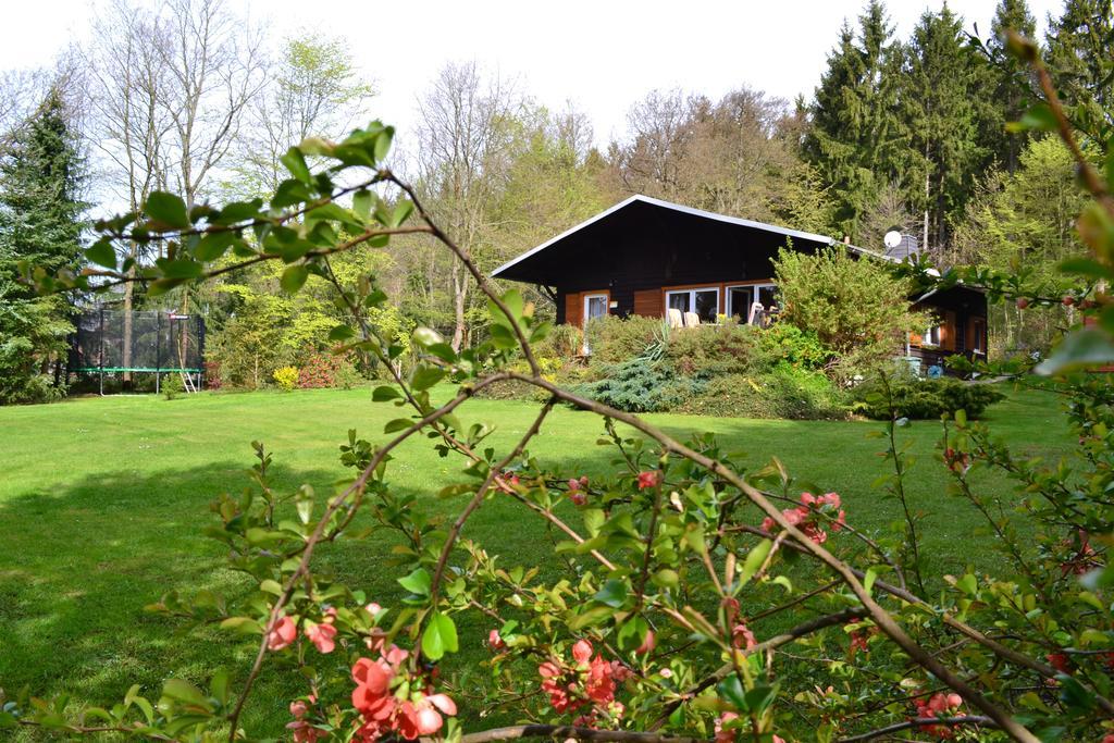 Chalet Harmonie Harzgerode Luaran gambar